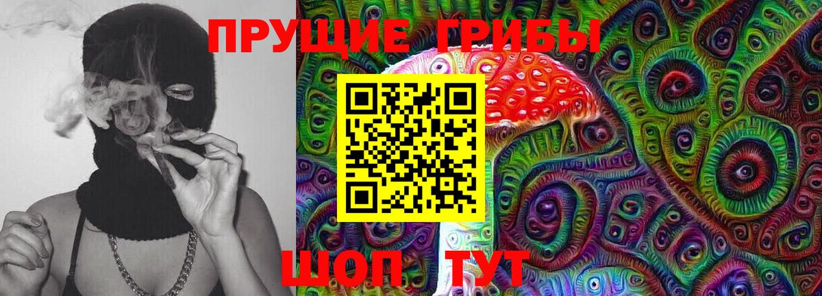купить наркоту  Вход с VPN  Мелеуз  Галлюциногенные грибы Psilocybine cubensis 