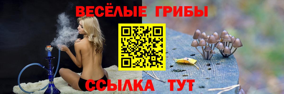 Галлюциногенные грибы мицелий Мелеуз